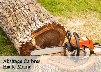 Abattage d'arbres Haute-Marne 