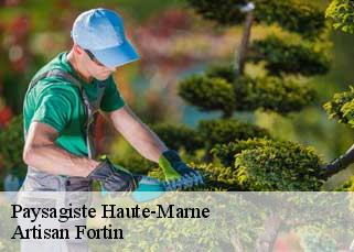 Paysagiste 52 Haute-Marne  Artisan Fortin