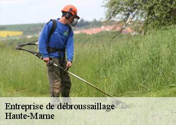 Entreprise de débroussaillage Haute-Marne 