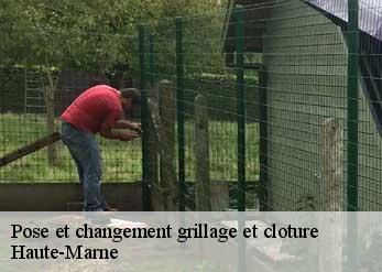 Pose et changement grillage et cloture Haute-Marne 