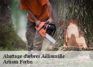 Abattage d'arbres  aillianville-52700 Artisan Fortin