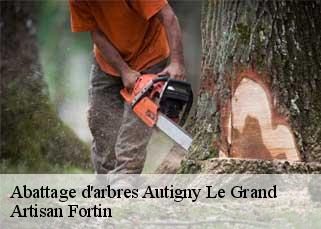 Abattage d'arbres  autigny-le-grand-52300 Artisan Fortin