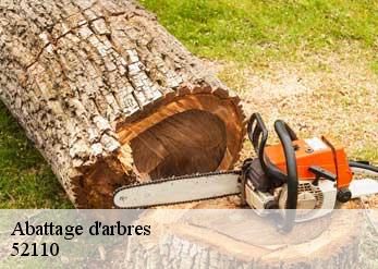 Abattage d'arbres 52110