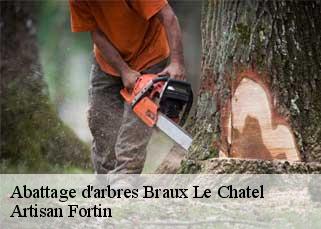 Abattage d'arbres  braux-le-chatel-52120 Artisan Fortin