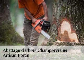 Abattage d'arbres  champsevraine-52500 Artisan Fortin