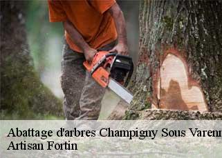 Abattage d'arbres  champigny-sous-varennes-52400 Artisan Fortin