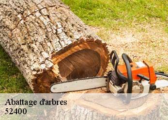 Abattage d'arbres 52400