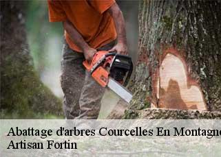 Abattage d'arbres  courcelles-en-montagne-52200 Artisan Fortin