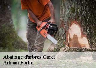 Abattage d'arbres curel-52300 Artisan Fortin