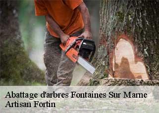 Abattage d'arbres fontaines-sur-marne-52170 Artisan Fortin