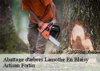 Abattage d'arbres  lamothe-en-blaisy-52330 Artisan Fortin