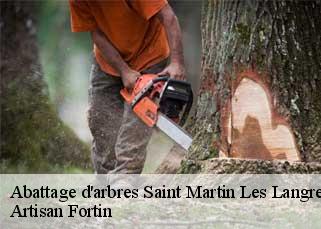 Abattage d'arbres saint-martin-les-langres-52200 Artisan Fortin