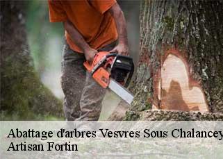 Abattage d'arbres  vesvres-sous-chalancey-52190 Artisan Fortin