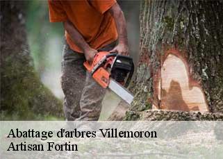 Abattage d'arbres  villemoron-52160 Artisan Fortin