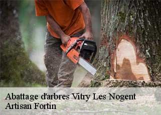 Abattage d'arbres  vitry-les-nogent-52800 Artisan Fortin