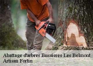Abattage d'arbres  bussieres-les-belmont-52500 Artisan Fortin