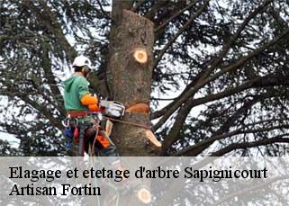 Elagage et etetage d'arbre  sapignicourt-52100 Artisan Fortin