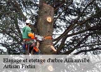 Elagage et etetage d'arbre  aillianville-52700 Artisan Fortin