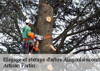 Elagage et etetage d'arbre  aingoulaincourt-52230 Artisan Fortin
