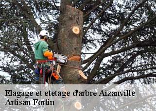 Elagage et etetage d'arbre  aizanville-52120 Artisan Fortin