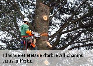 Elagage et etetage d'arbre  allichamps-52130 Artisan Fortin