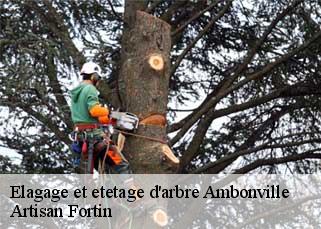 Elagage et etetage d'arbre  ambonville-52110 Artisan Fortin