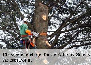 Elagage et etetage d'arbre  arbigny-sous-varennes-52500 Artisan Fortin