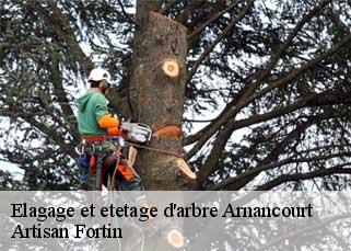 Elagage et etetage d'arbre  arnancourt-52110 Artisan Fortin