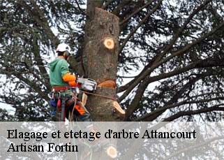 Elagage et etetage d'arbre  attancourt-52130 Artisan Fortin