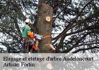 Elagage et etetage d'arbre  audeloncourt-52240 Artisan Fortin