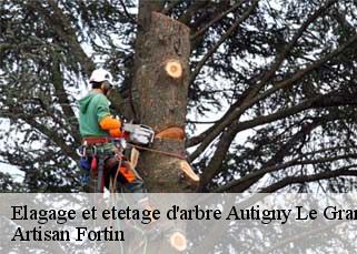 Elagage et etetage d'arbre  autigny-le-grand-52300 Artisan Fortin