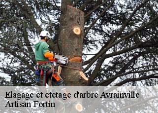 Elagage et etetage d'arbre  avrainville-52130 Artisan Fortin