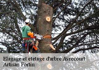Elagage et etetage d'arbre  avrecourt-52140 Artisan Fortin