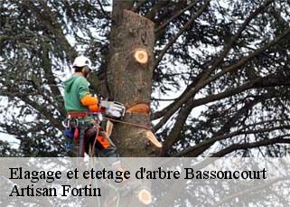 Elagage et etetage d'arbre  bassoncourt-52240 Artisan Fortin