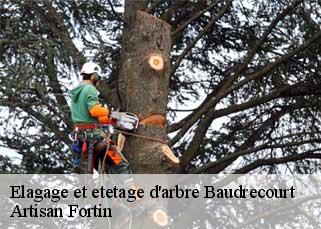 Elagage et etetage d'arbre  baudrecourt-52110 Artisan Fortin