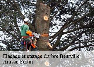 Elagage et etetage d'arbre  beurville-52110 Artisan Fortin