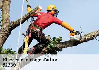 Elagage et etetage d'arbre 52330