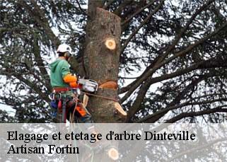 Elagage et etetage d'arbre  dinteville-52120 Artisan Fortin