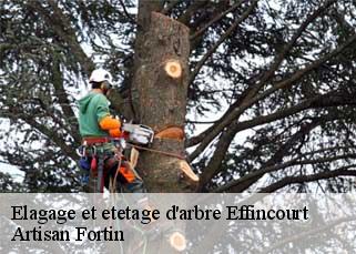Elagage et etetage d'arbre effincourt-52300 Artisan Fortin