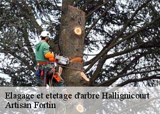 Elagage et etetage d'arbre  hallignicourt-52100 Artisan Fortin