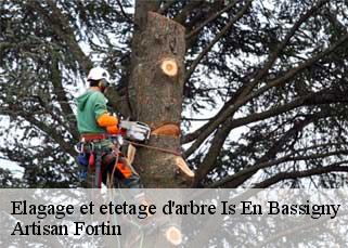 Elagage et etetage d'arbre  is-en-bassigny-52140 Artisan Fortin