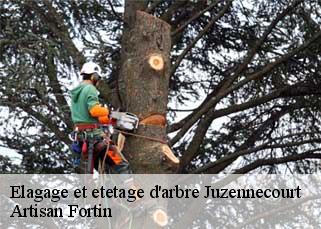 Elagage et etetage d'arbre  juzennecourt-52330 Artisan Fortin