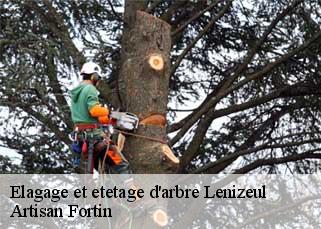 Elagage et etetage d'arbre  lenizeul-52240 Artisan Fortin