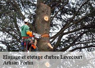 Elagage et etetage d'arbre  levecourt-52150 Artisan Fortin