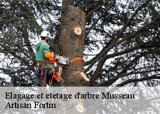 Elagage et etetage d'arbre  musseau-52160 Artisan Fortin