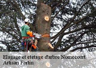 Elagage et etetage d'arbre nomecourt-52300 Artisan Fortin