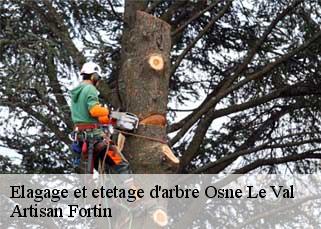 Elagage et etetage d'arbre  osne-le-val-52300 Artisan Fortin