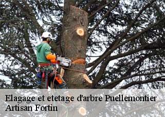 Elagage et etetage d'arbre  puellemontier-52220 Artisan Fortin