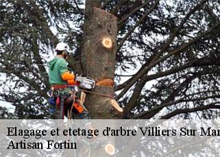 Elagage et etetage d'arbre villiers-sur-marne-52320 Artisan Fortin