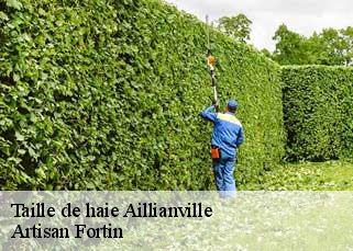 Taille de haie  aillianville-52700 Artisan Fortin